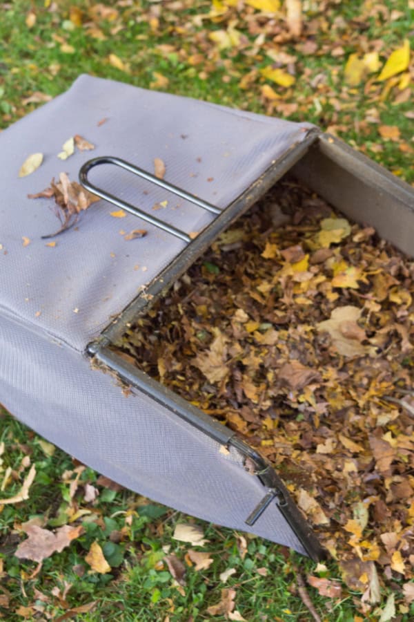 fall leaves for a better garden