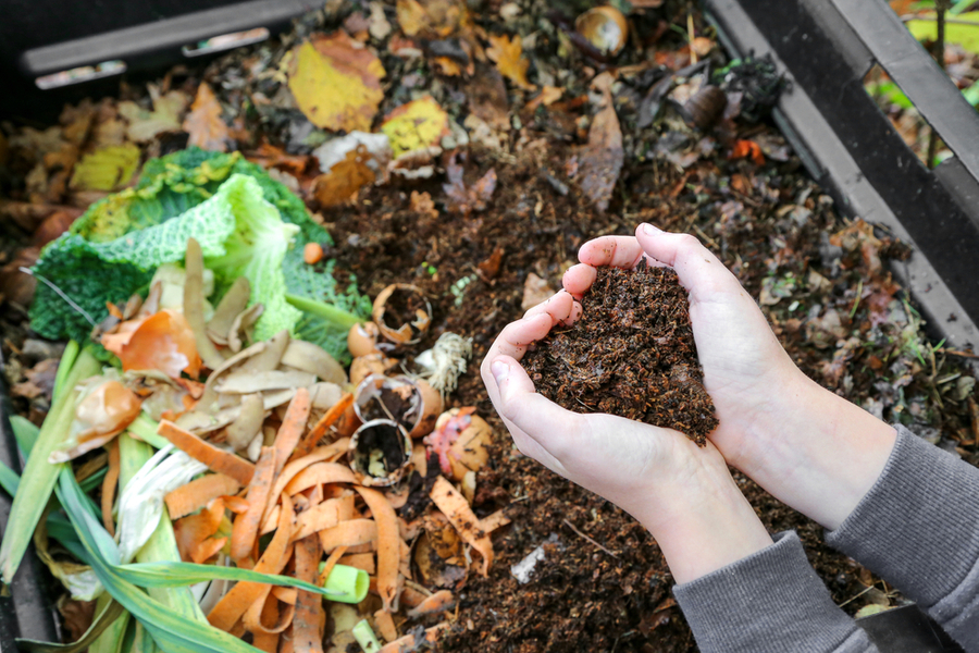 Learn How To Compost Like A Pro A Simple Guide To Create Great Soil!