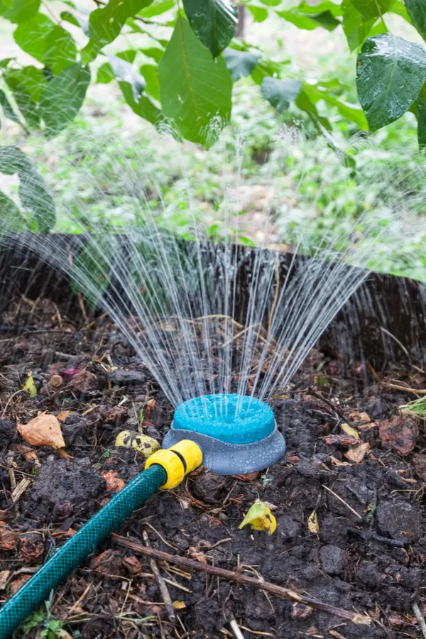 Using a sprinkler to water a pile of composting materials helps you compost like a pro. 