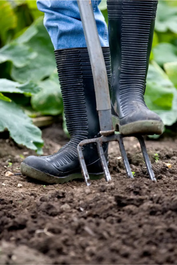 how to use compost in the garden