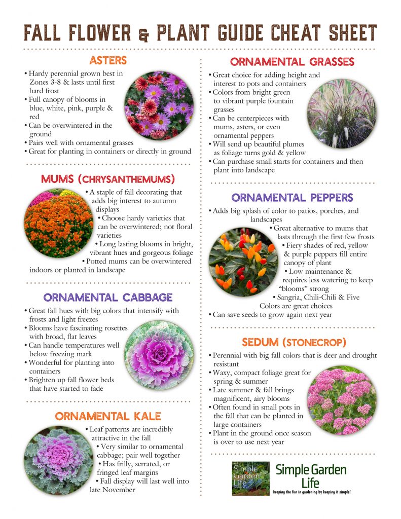 fall flowering plant guide