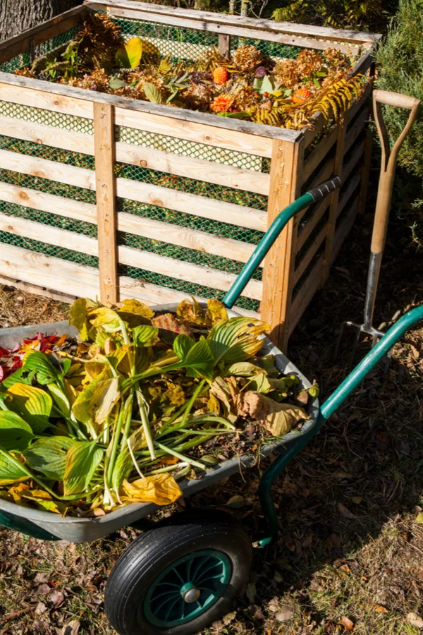 clear out your garden in the fall