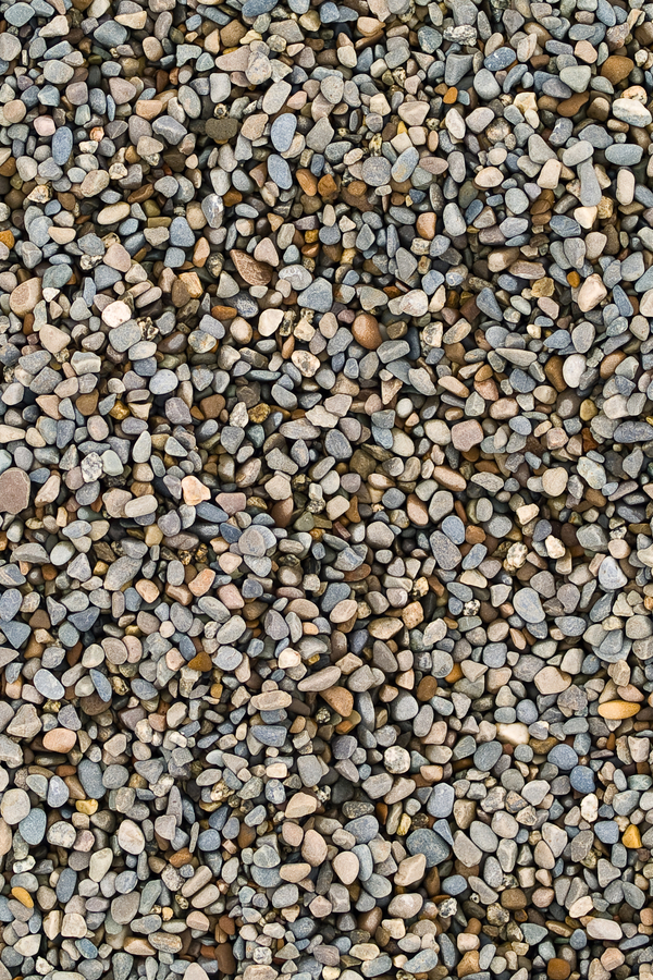 to help keep bulbs safe from pests, consider adding pea gravel to your planting hole. 