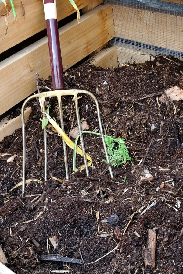 A pile of compost made from fall decorations and other natural materials