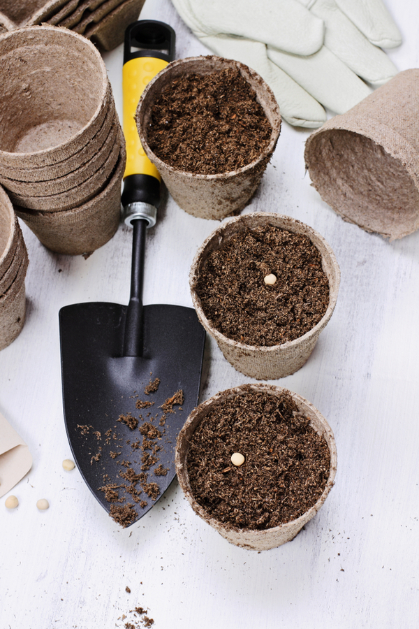 items to start seeds indoors