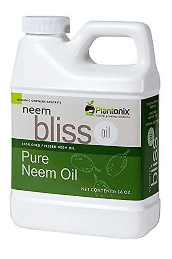 neem oil