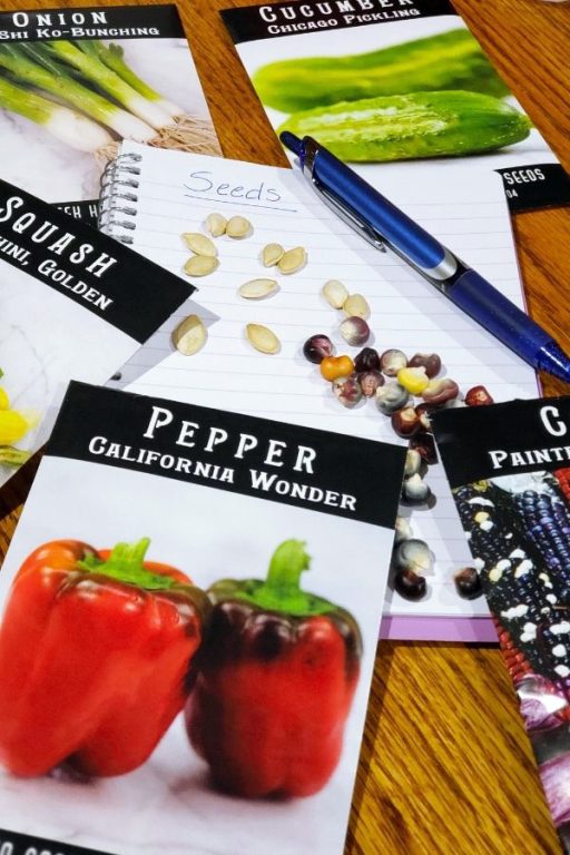 How To Store Extra Seeds Properly And Just How Long Do Seeds Last?