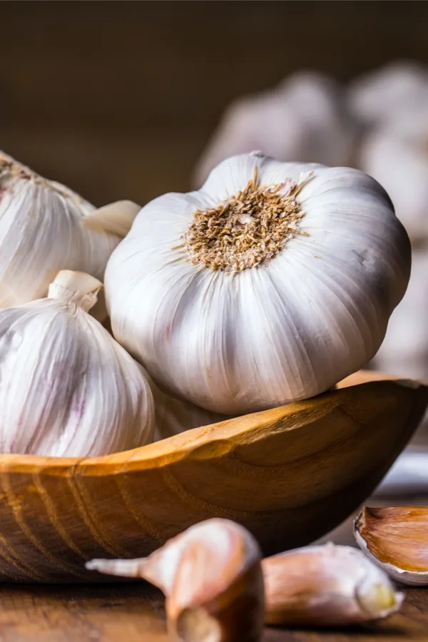 garlic spray - keep aphids off of houseplants