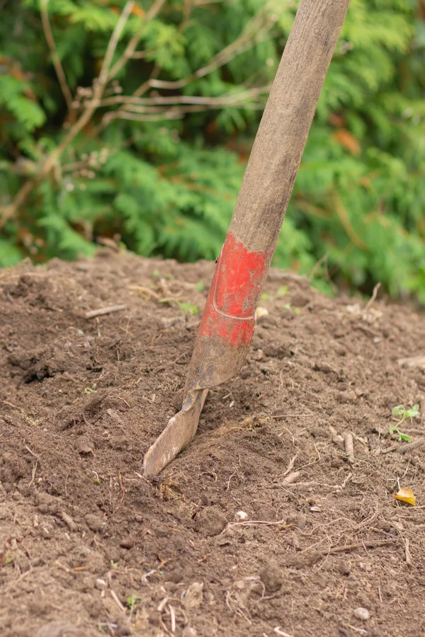 A perfect finished pile of compost. 