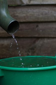 How To Collect And Use Rain Water - And Why It's Better For Your Plants!