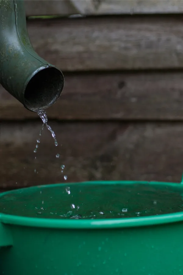 how to capture rain water