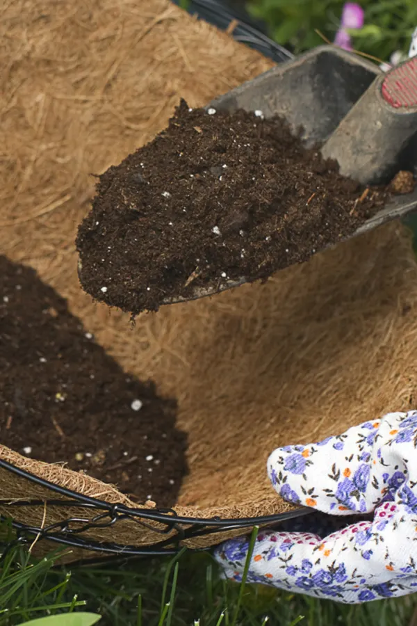 how to use compost in the garden and flowerbeds