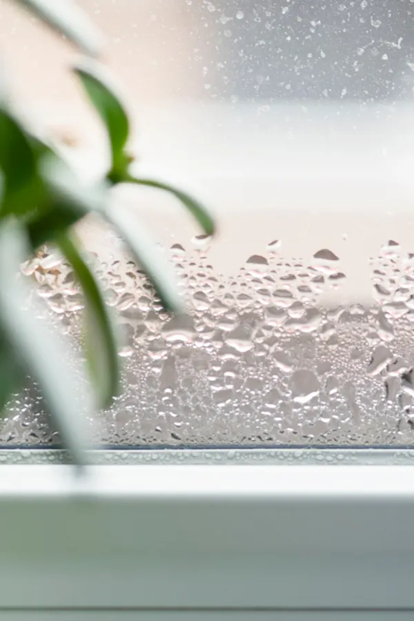 Condensation on the side of a window.