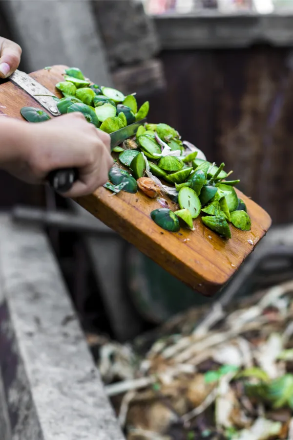 kitchen scraps - compost pile