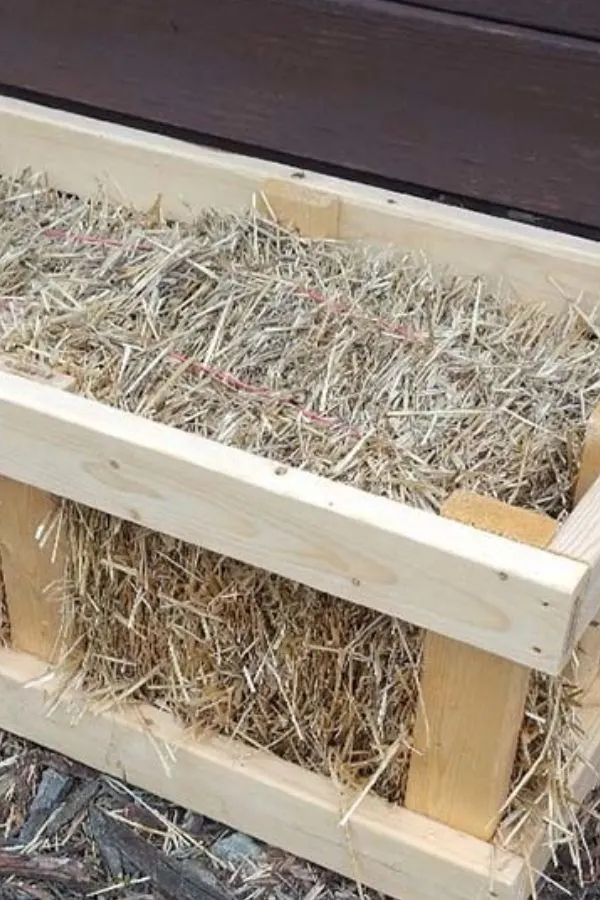 Use worm castings when growing vegetables in your straw bales
