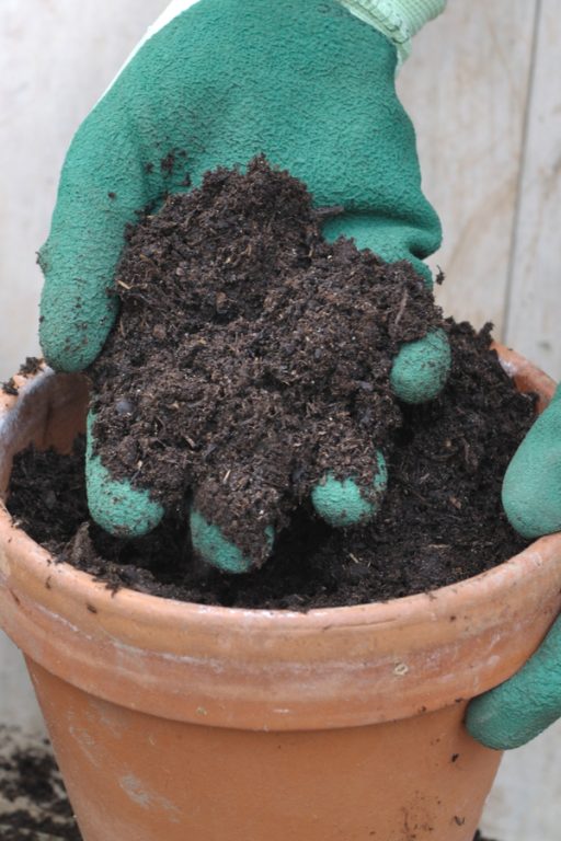 How To Recharge & Reuse Old Potting Soil!