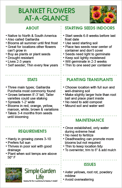 Blanket Flower At-A-Glance Guide