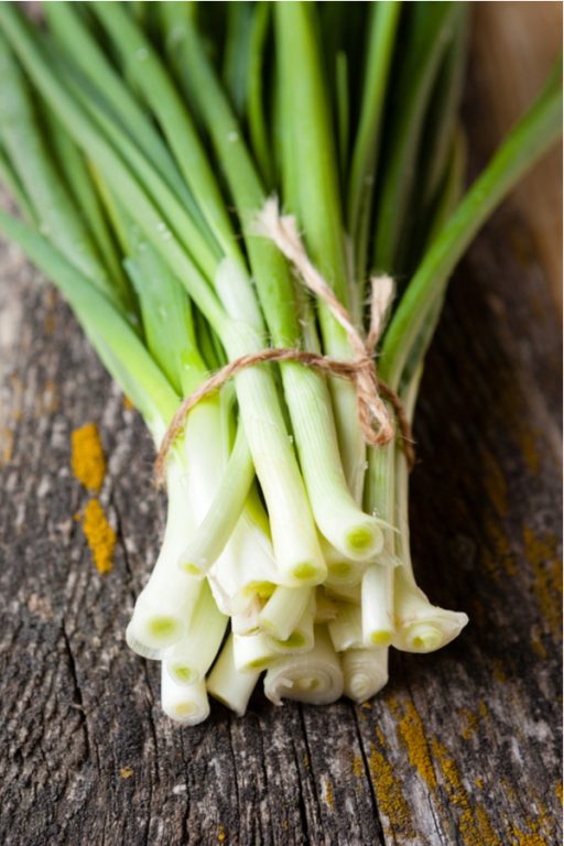 How To Plant Green Onions From Seed Grow Green Onions With Ease!