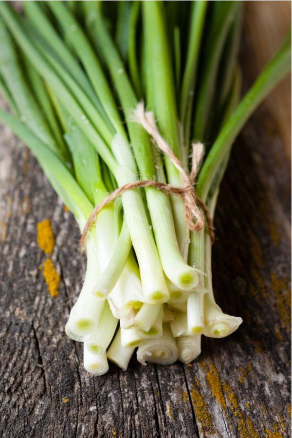 green onions in a bundle - how to plant green onions