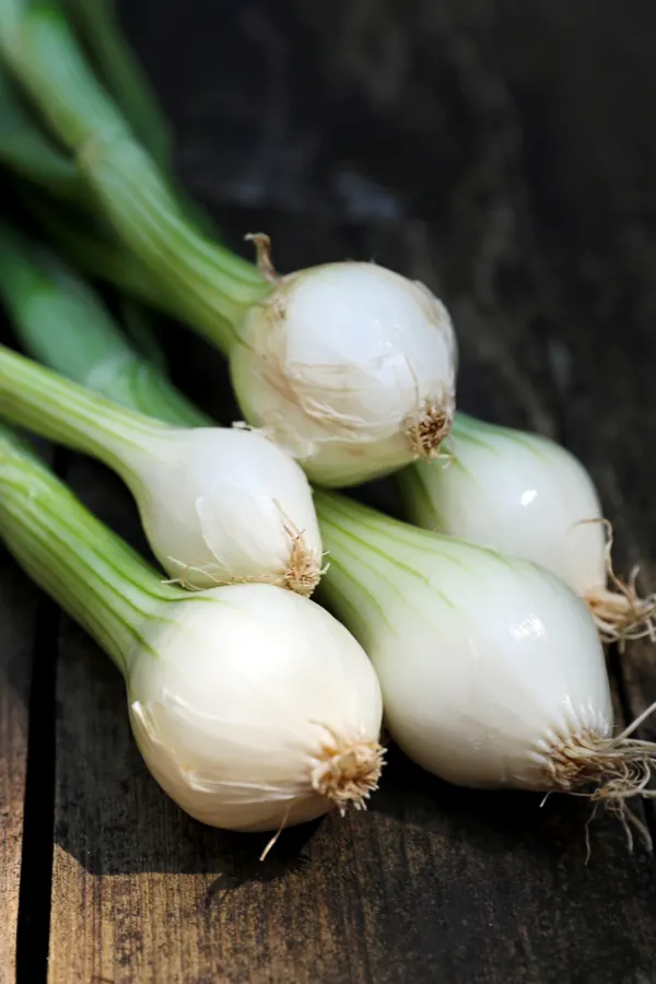 spring onion  -The Best Spring Garden Seed Crops To Plant Early