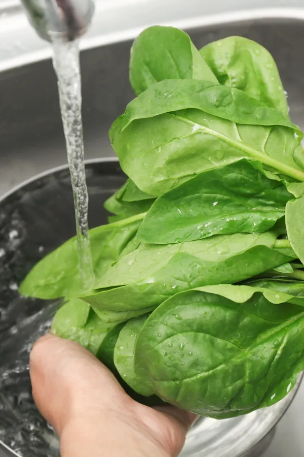 Washing spinach prior to consuming