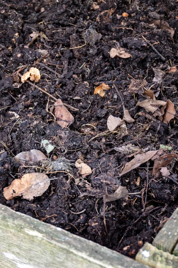 A compost pile 