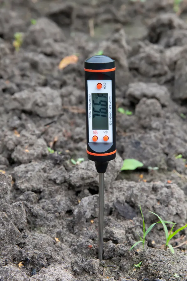 One of the 7 secrets is planting when soil temps are high enough - A thermometer in the soil.