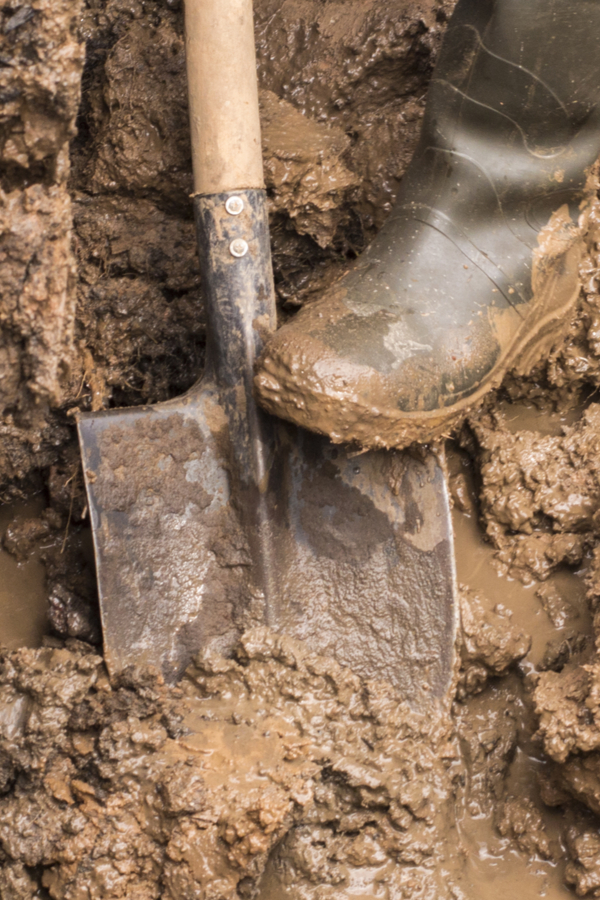 A boot pushing a shovel into dense and saturated clay soil. 