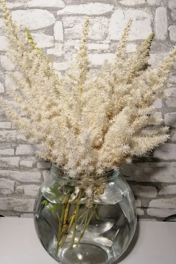 A clear vase of white astilbe blooms against a white and gray brick background.