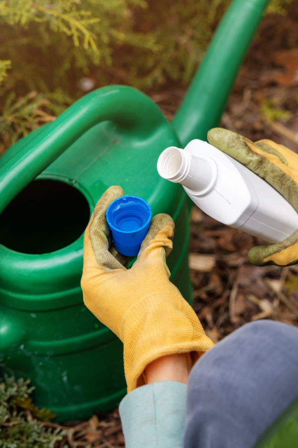 A woman pouring liquid fertilizer into a watering can