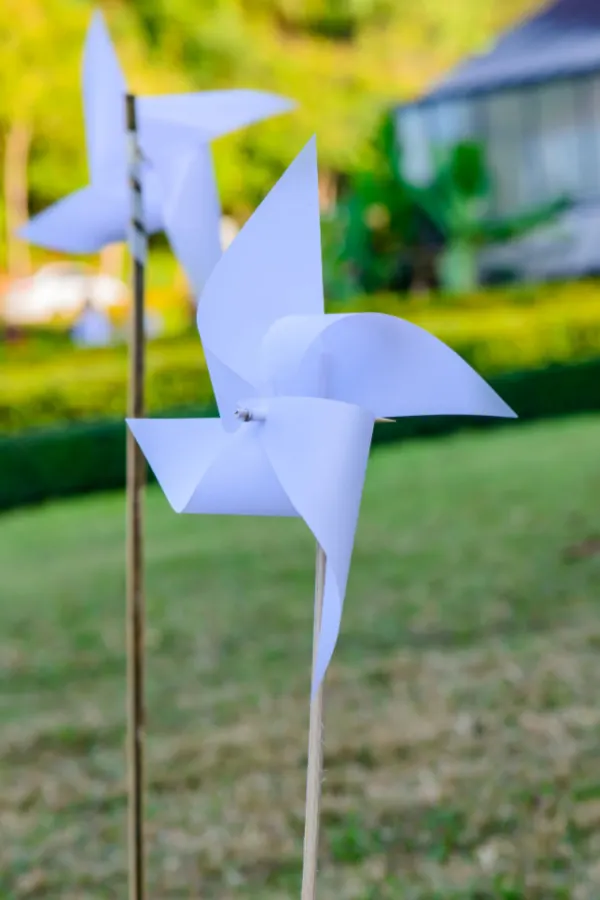 Two white pinwheels in the ground to help stop ground moles 