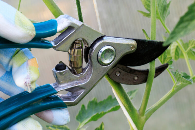 8 Simple Garden Tools & Gadgets Every Gardener Should Own