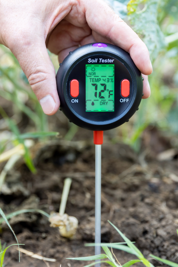 A soil tester is a great simple garden tool that checks the moisture and temperature of the soil