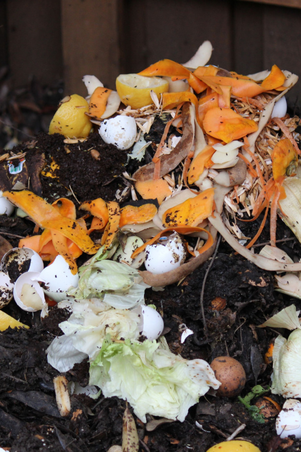 Compost piles are great, but there are some items to avoid adding from gardens and flowerbeds