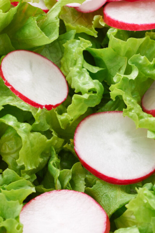 7 Late Season Seed Crops You Can Still Plant How To Grow More