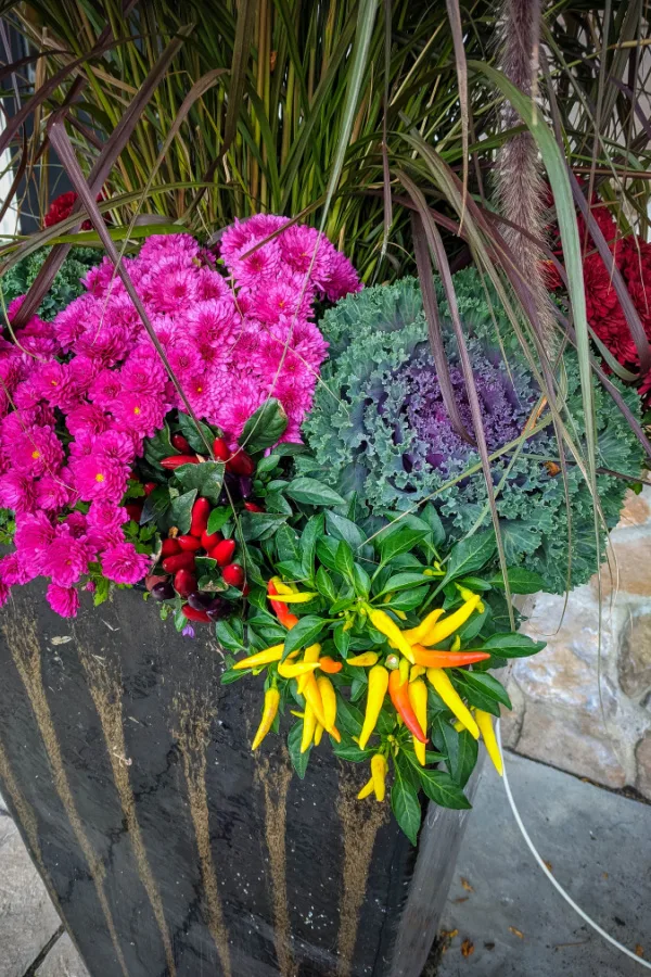 A fall container display