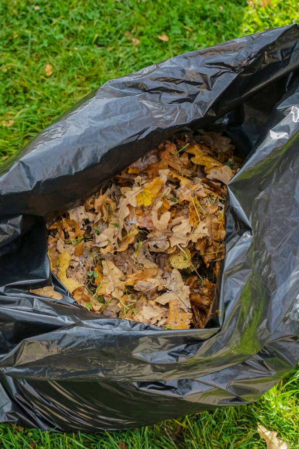a bag of leaves