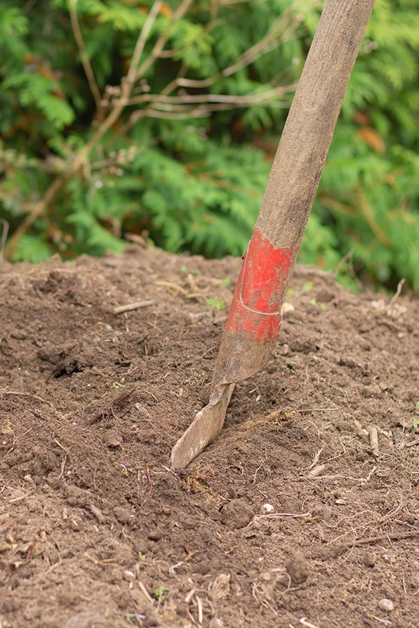 building better soil is a key to growing better plants