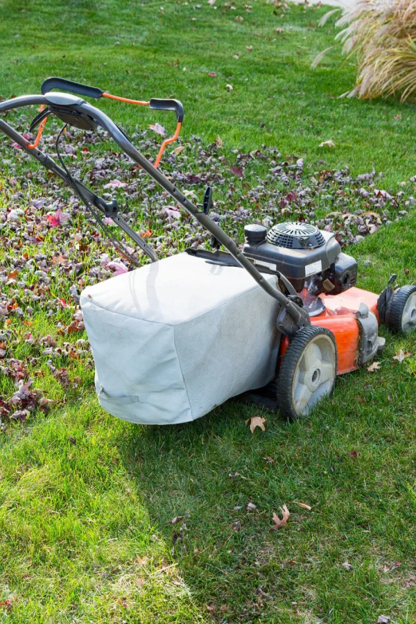 A bagged mower going over leaves - composting leaves
