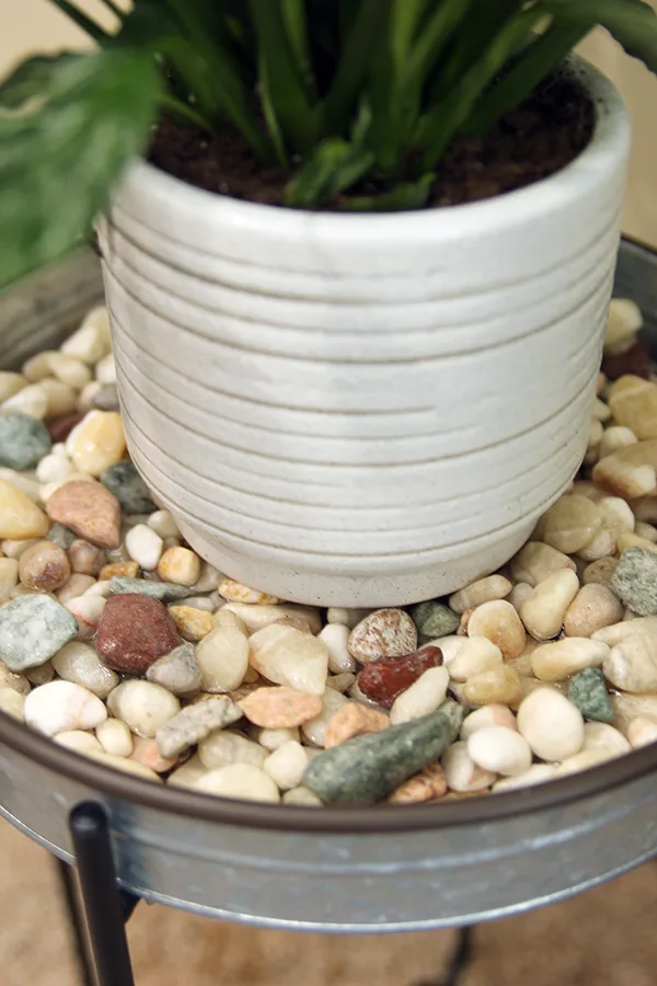 A potted peace lily sitting on a tray of rocks and water to help increase the humidity. 