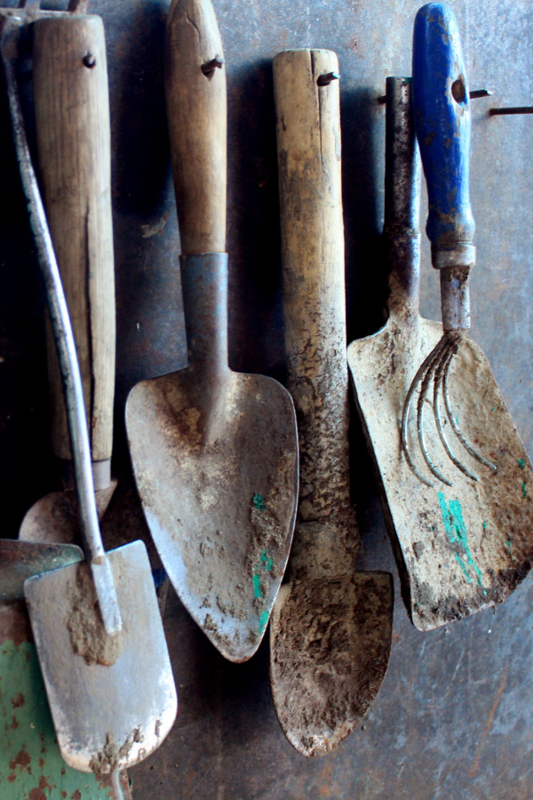 Garden tools hanging that are in need of cleaning and disinfecting