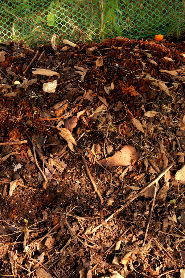 A pile of leaves that has almost finished decomposing