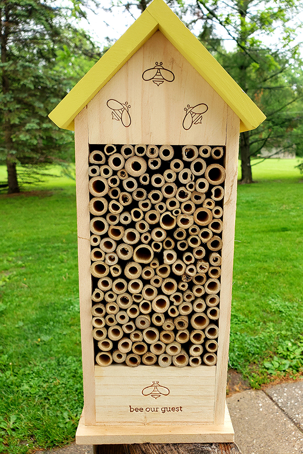 A mason bee house can be an excellent Christmas gift, and it's under $30!