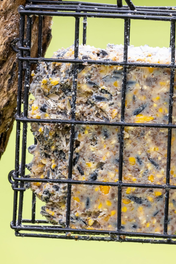 A closeup on homemade bird suet in a basket cage.