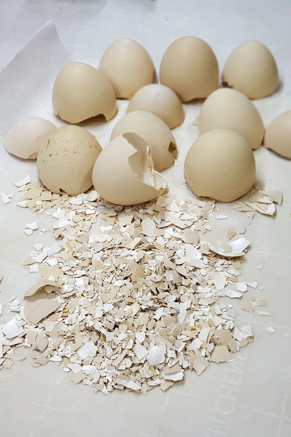 Some cracked and crushed egg shells