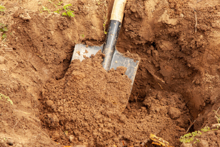 A hole in the soil ready for compost