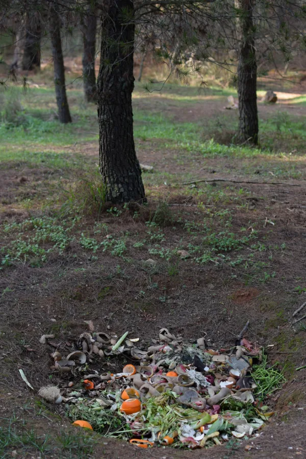 A large hole with compostable materials for hole composting