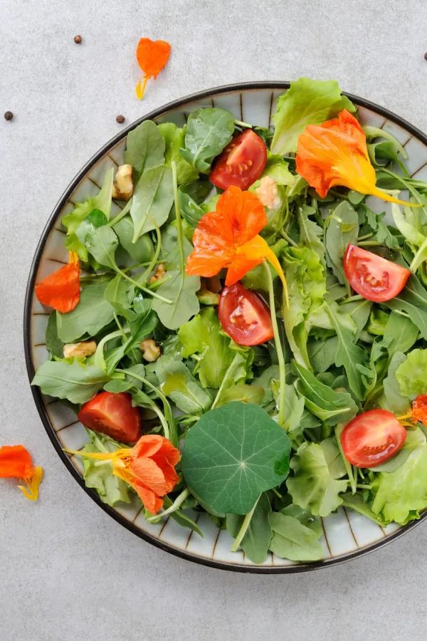 Nasturtium blooms and leaves in a salad with tomato slices