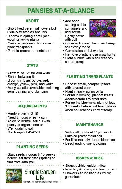 Printable at-a-lance guide for growing pansies.