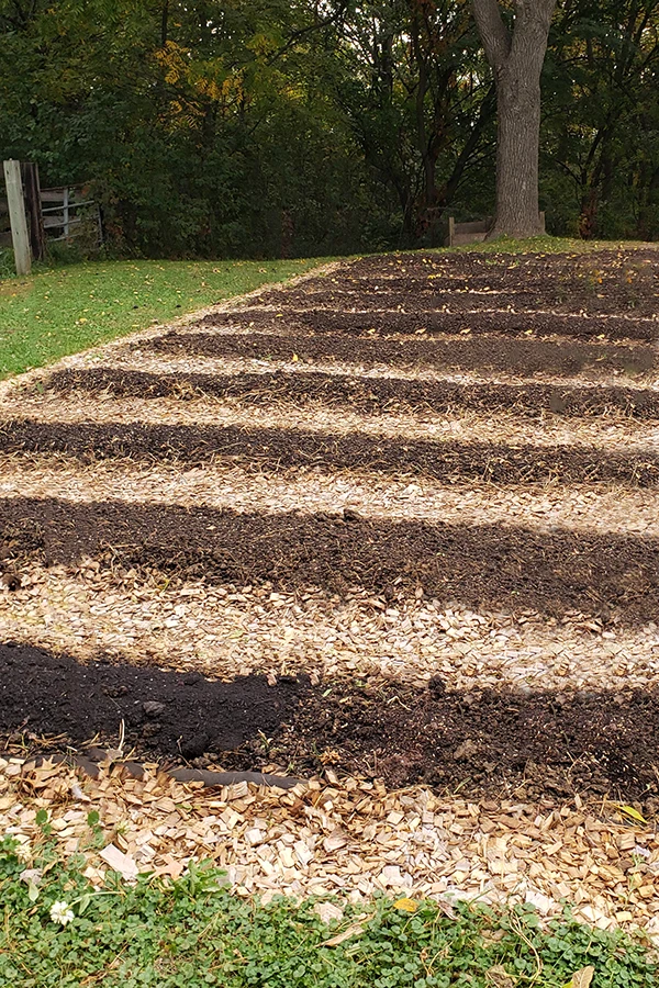 A garden that has been cleared out in the fall